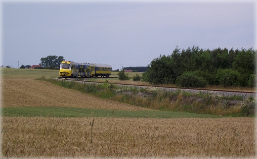 Na trasie rowerowej Krokowa - Swarzewo