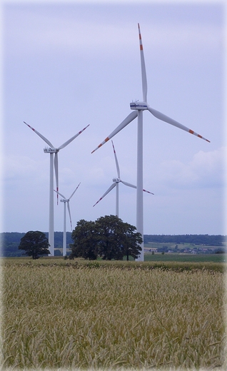 Na trasie rowerowej Krokowa - Swarzewo