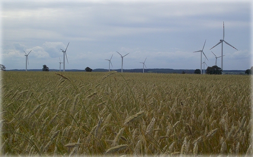 Na trasie rowerowej Krokowa - Swarzewo