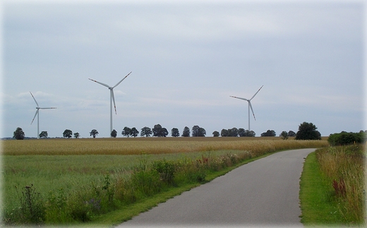 Na trasie rowerowej Krokowa - Swarzewo