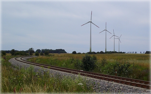 Na trasie rowerowej Krokowa - Swarzewo