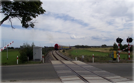 Na trasie rowerowej Krokowa - Swarzewo