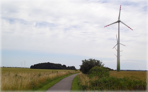 Na trasie rowerowej Krokowa - Swarzewo