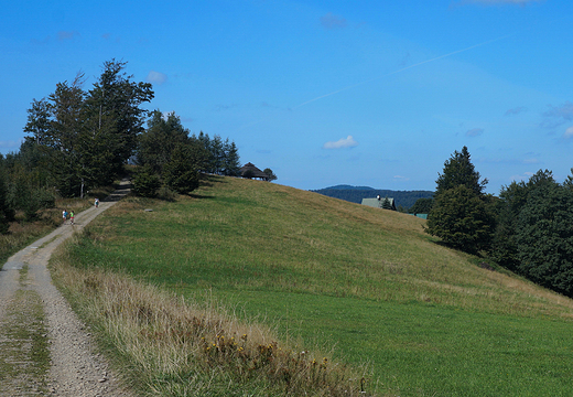 Widok na Trzy Kopce Wilaskie - 810 m. n. p. m.