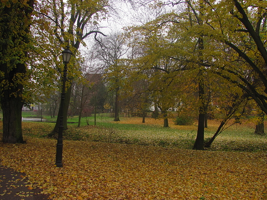 Park Zamkowy jesie