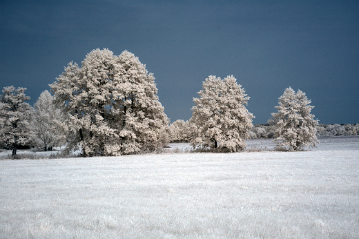 na Podlasiu