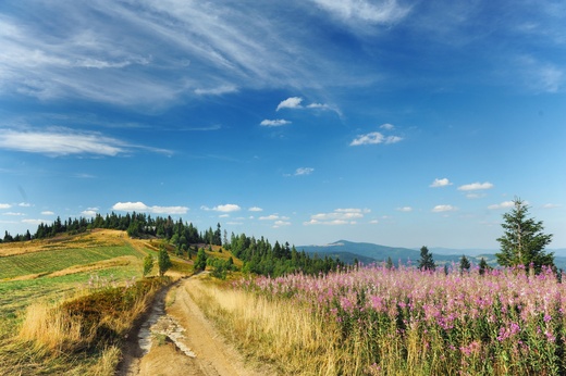 Pnojesienna wdrwka grzbietem Gorca. Gorczaski Park Narodowy