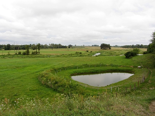 Wczesnopiastowskie grodzisko nad Liwcem