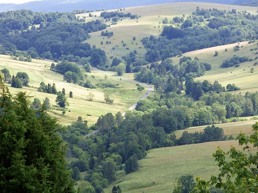 Wspomnienia z lipcowego spacery po Pooninie Wetliskiej.