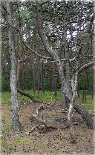 Biaogra - Obszar Natura 2000