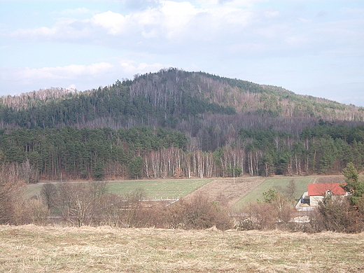 Widok na gr Zamczsko