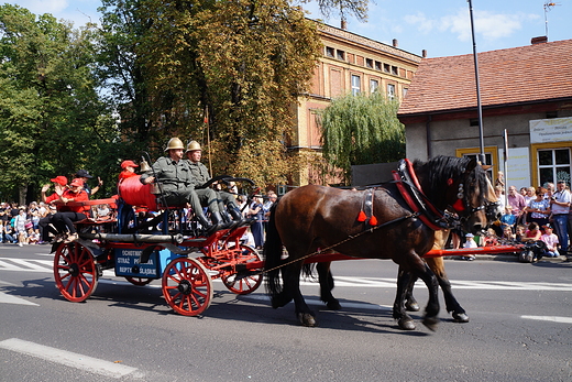 Gwarki Tarnogrskie 2017