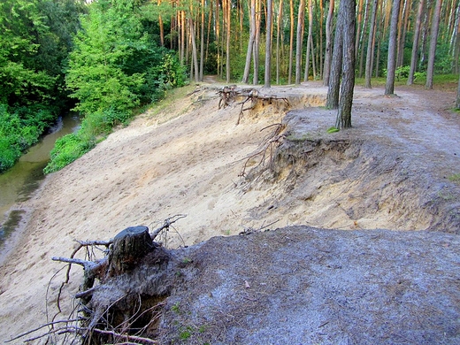 Nad rzek Srebrn, na skraju miasta