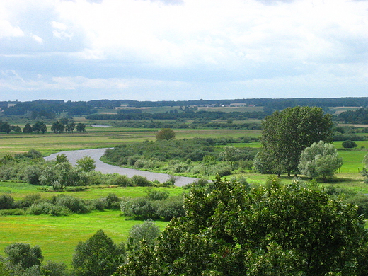 Widok na Narew z Gry Strkowej