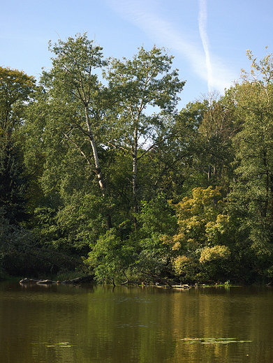 Warszawa, Park Skaryszewski