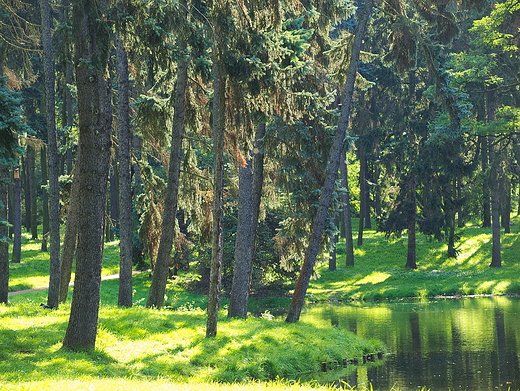 Warszawa, Park Skaryszewski