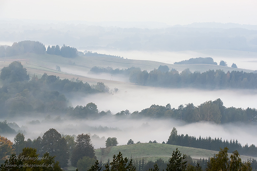 Widok z Cisowej