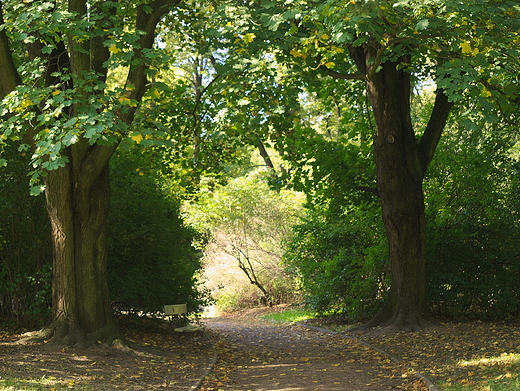 Warszawa, Park Skaryszewski