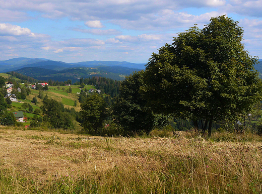 Widok z Ochodzitej.