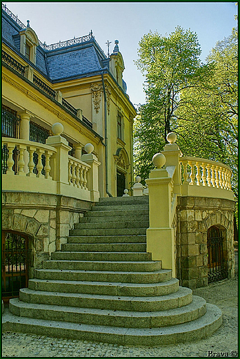 Pałac Rodziny Schonów w Sosnowcu - ozdoby architektoniczne