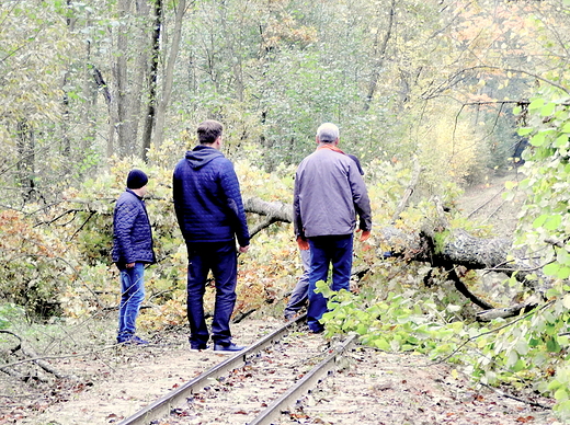 przeszkoda na trasie kolejki wskotorowej