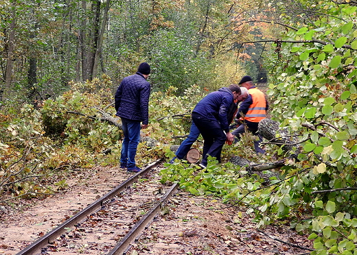 przeszkoda na trasie kolejki wskotorowej