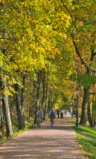 Goczakowice Zdrj. Jesie w parku.