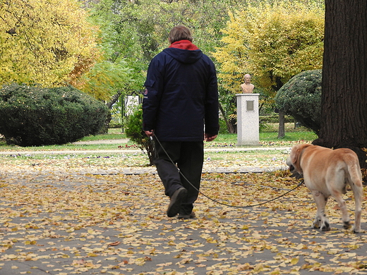 w zamojskim parku 14.10.2017