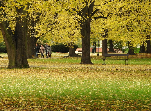 w zamojskim parku 14.10.2017