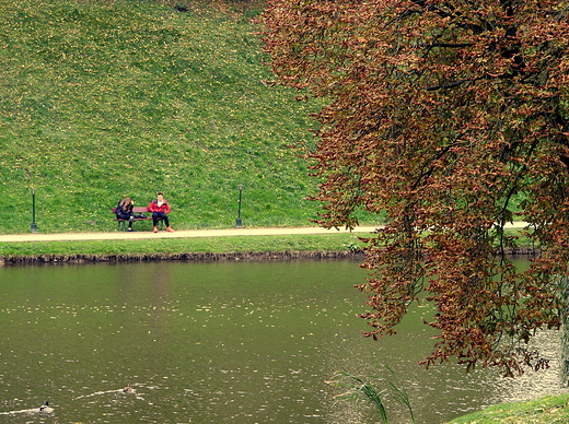 w zamojskim parku 14.10.2017