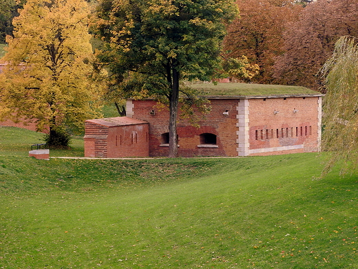 w zamojskim parku 14.10.2017