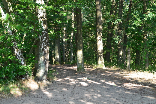 Wapnica - Woliski Park Narodowy