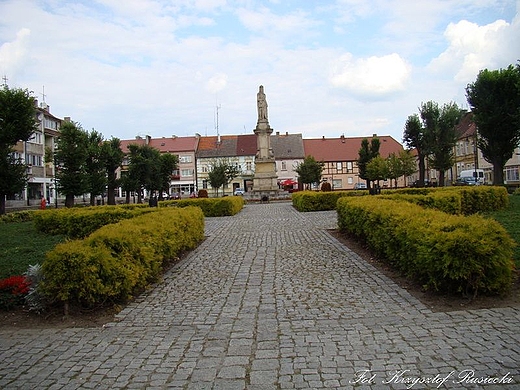 Rynek