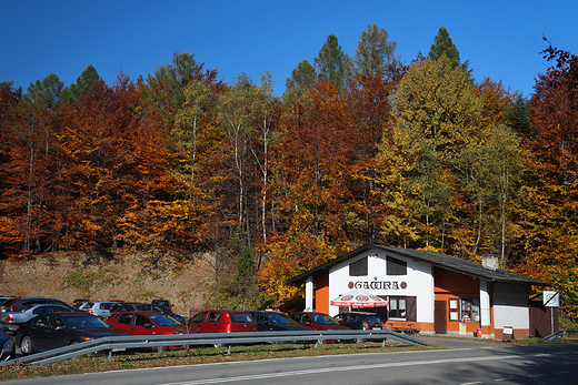 Beskid May jesieni. Na Przeczy Przegibek.