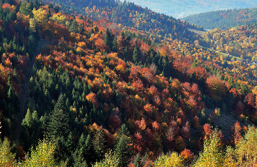 Beskid May jesieni.