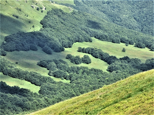 Wspomnienia z wakacji. Wycieczka na Tarnic.