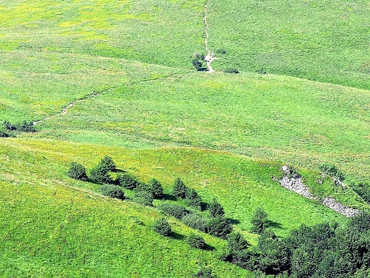 Wspomnienia z wakacji. Wycieczka na Tarnic.