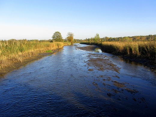 Rzeka Mienia