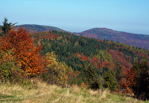 Beskid May jesieni.