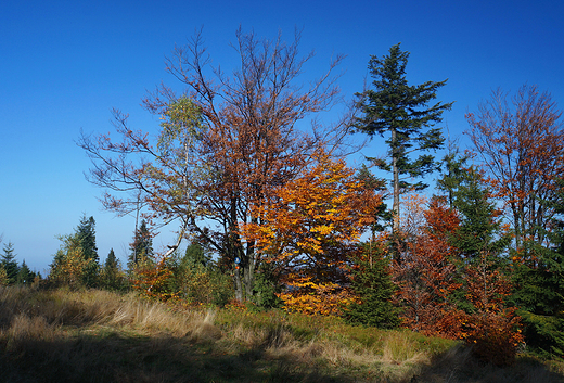 Beskid May jesieni.