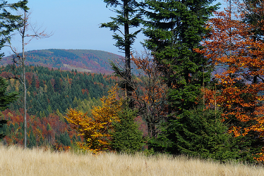 Beskid May jesieni.