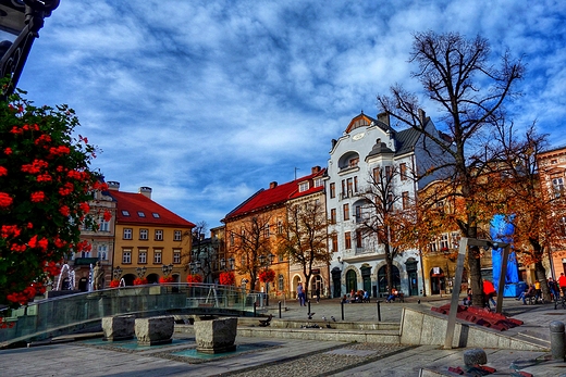 Rynek