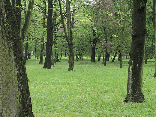 Park przed wejciem do zamku. Baranw Sandomierski