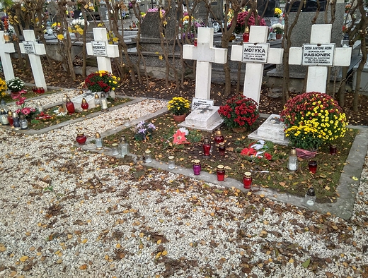 zamojski cmentarz parafialny - wito Zmarych