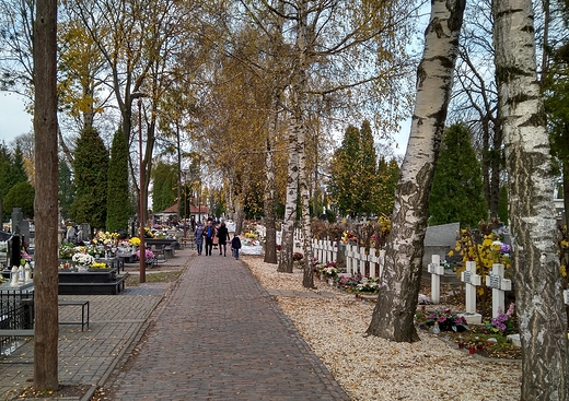 zamojski cmentarz parafialny - wito Zmarych