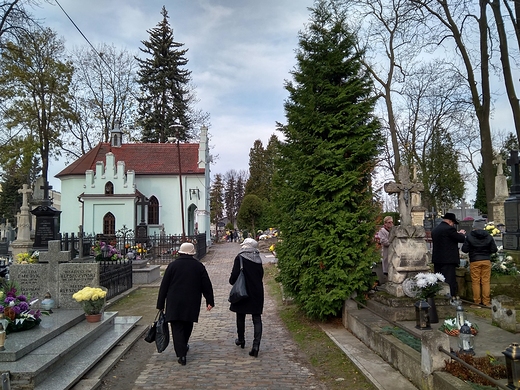 zamojski cmentarz parafialny - wito Zmarych