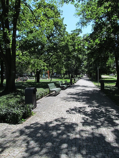 Alej w parku