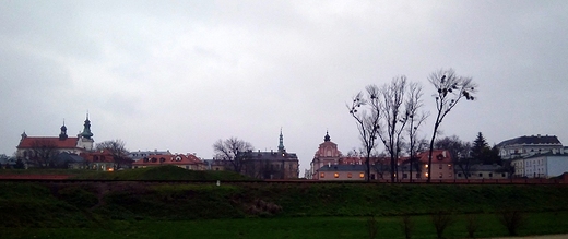 Starwka listopadowo