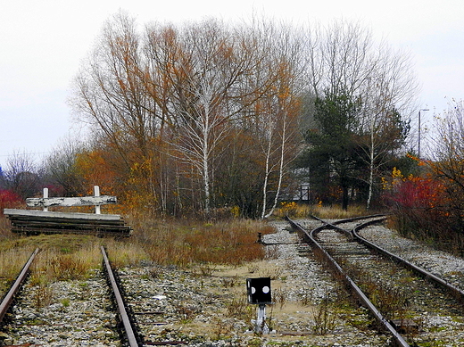 kolej. listopadowe klimaty