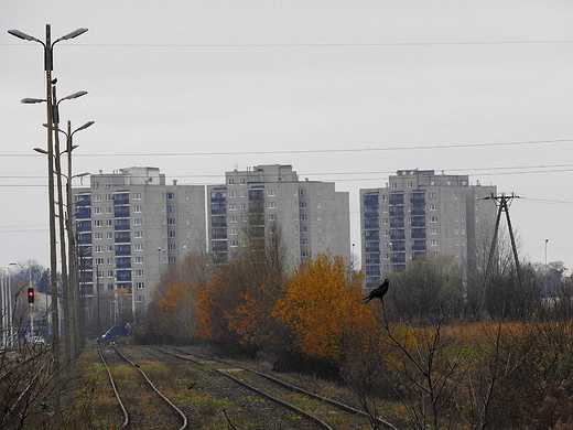 kolej. listopadowe klimaty